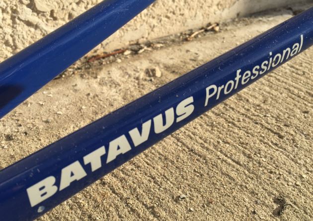 Batavus professional