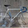 Gazelle Champion Mondial AB Frame