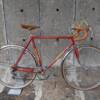 Gitane Tourfiets 57ct